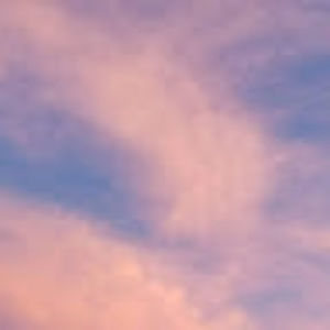 Meet your Posher, Millie